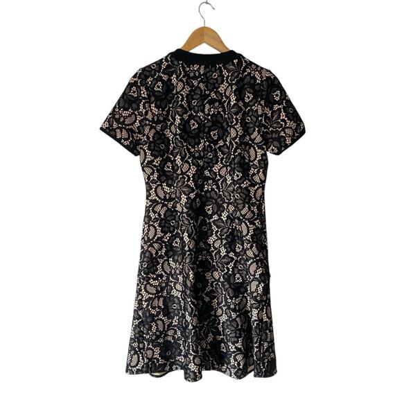 Alexia Admor Brecken Lace Dress Black Nude Button Front size 6 - Picture 9 of 11